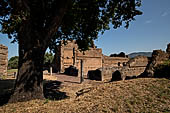 Villa Adriana - Edificio con criptoportico e peschiera